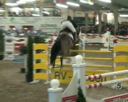 jumper Catoki's Son (Holsteiner, 2003, from Catoki)