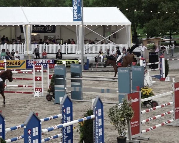 Reitturnier Humlikon 2022