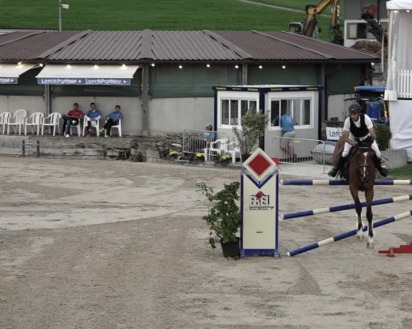 Reitturnier Humlikon 2022
