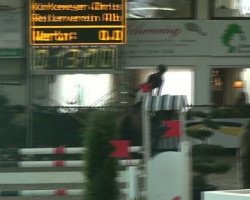 jumper Contendrus 3 (Oldenburg show jumper, 2007, from Contendro I)