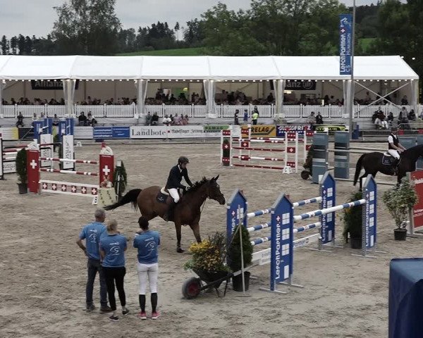 Reitturnier Humlikon 2022