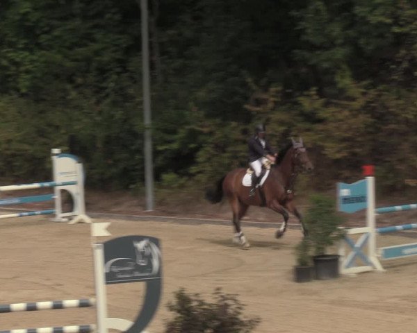 Reitturnier Köln-Flittard 2022