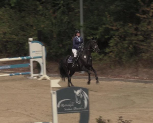 Reitturnier Köln-Flittard 2022