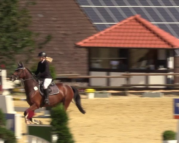 Reitturnier Vlotho-Valdorf 2022
