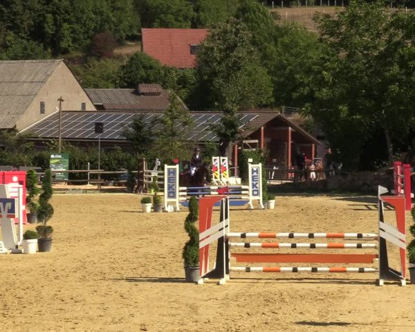 Reitturnier Vlotho-Valdorf 2022