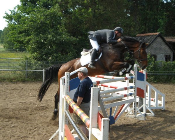 jumper Cartani (Holsteiner, 1994, from Cor de la Bryère)