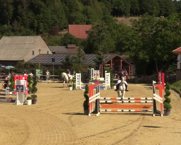 Reitturnier Vlotho-Valdorf 2022