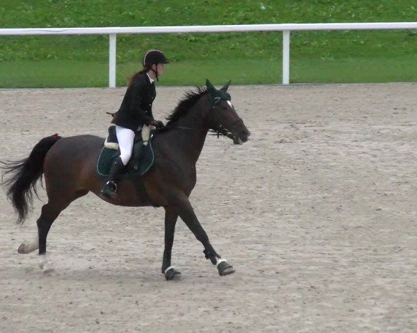 Reitturnier Bülach 2022