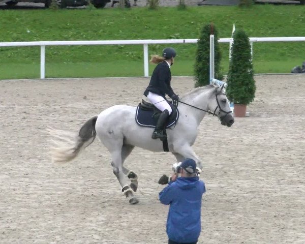 Reitturnier Bülach 2022