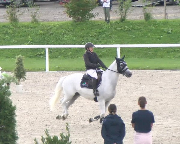Reitturnier Bülach 2022