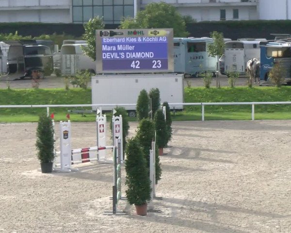 Reitturnier Bülach 2022