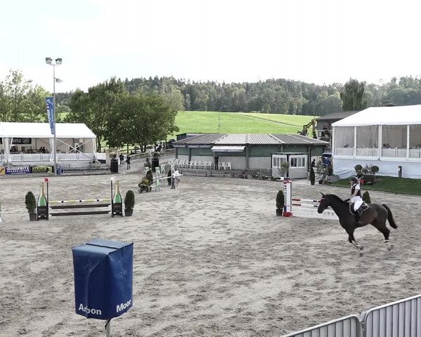 Reitturnier Humlikon 2022