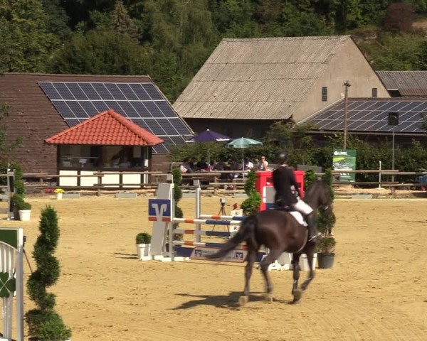 Reitturnier Vlotho-Valdorf 2022