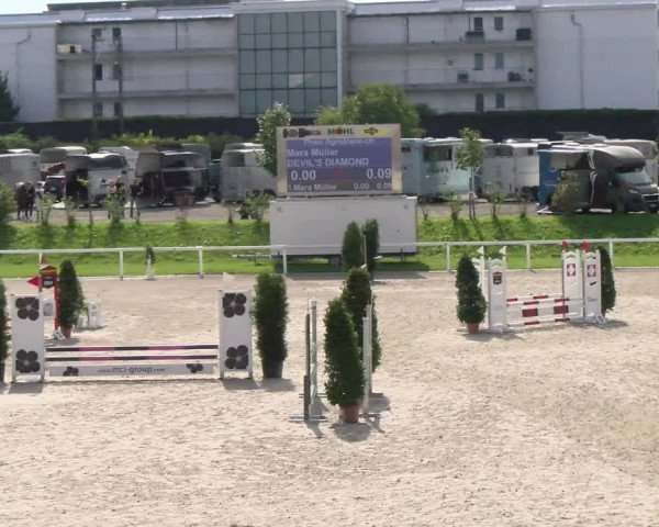 Reitturnier Bülach 2022