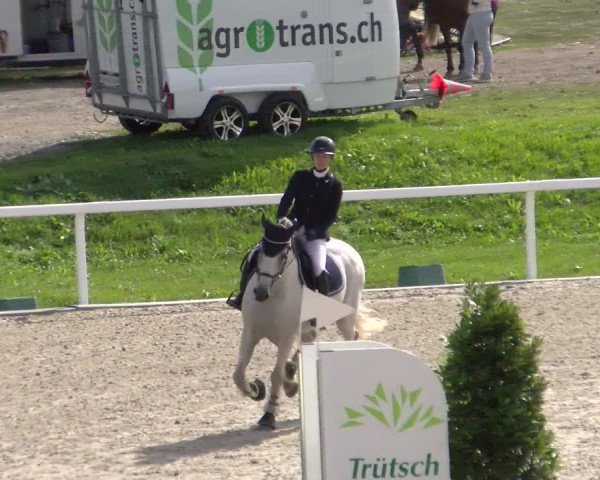 Reitturnier Bülach 2022