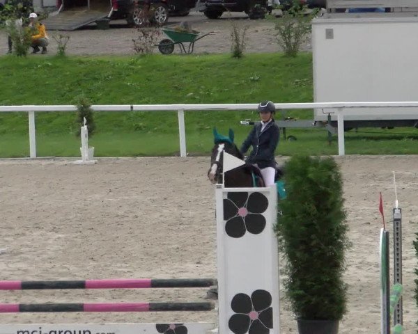 Reitturnier Bülach 2022