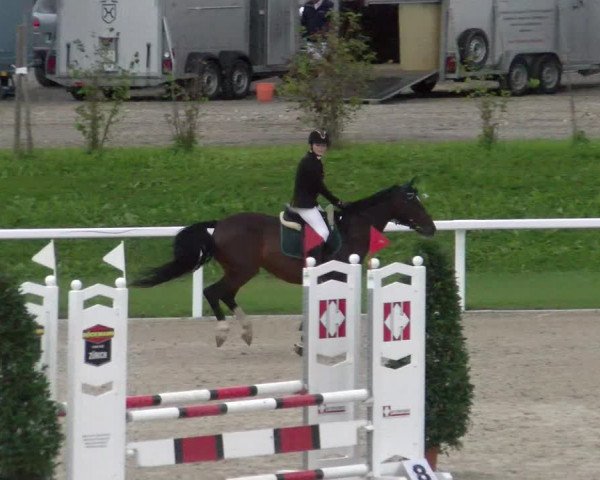 Reitturnier Bülach 2022