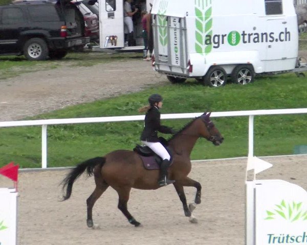 Reitturnier Bülach 2022