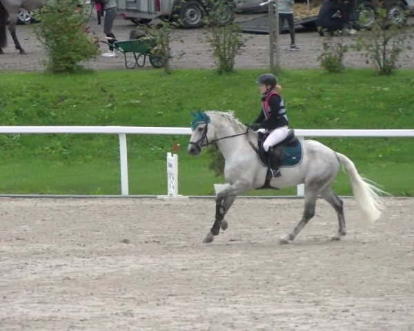 Reitturnier Bülach 2022