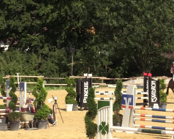 Reitturnier Vlotho-Valdorf 2022