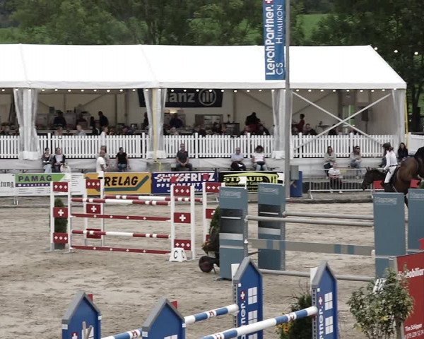 Reitturnier Humlikon 2022