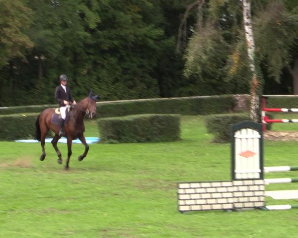 Reitturnier Westeregeln 2021