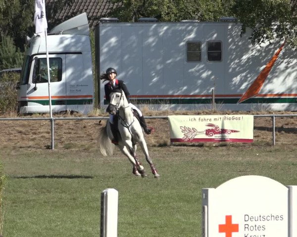 Reitturnier Dannenberg 2022