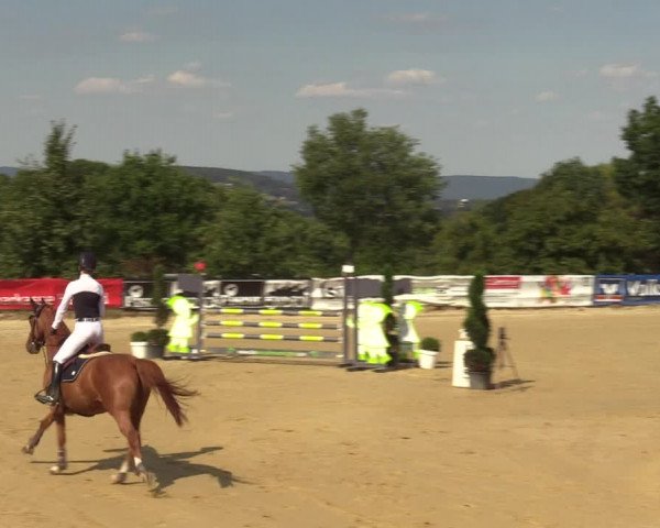 Reitturnier Vlotho-Valdorf 2022