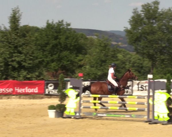Reitturnier Vlotho-Valdorf 2022