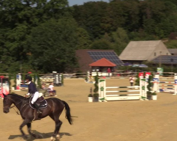 Reitturnier Vlotho-Valdorf 2022