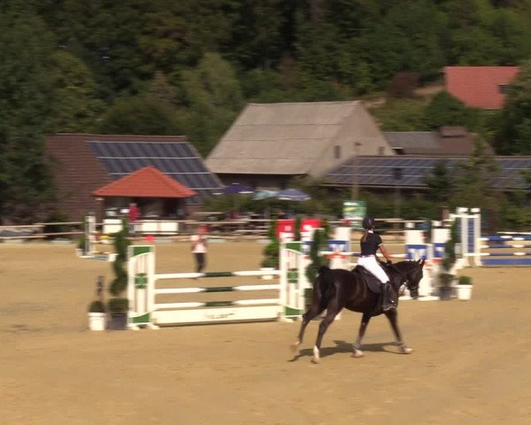 Reitturnier Vlotho-Valdorf 2022