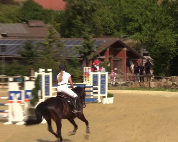 Reitturnier Vlotho-Valdorf 2022