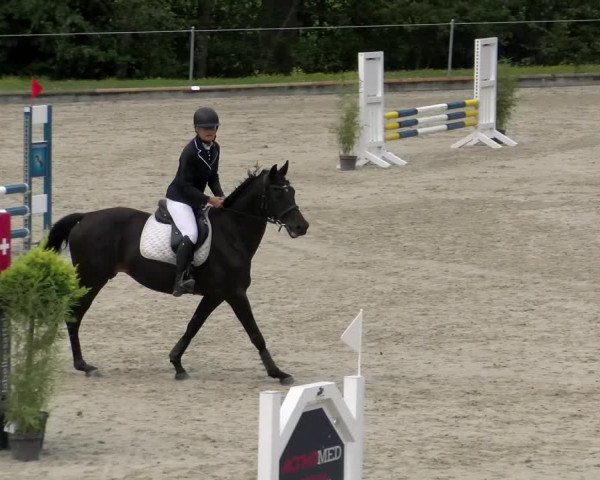 Reitturnier Maienfeld 2022