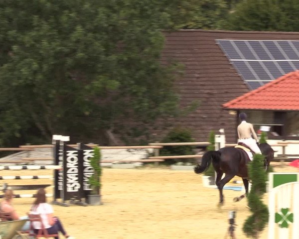 Reitturnier Vlotho-Valdorf 2022