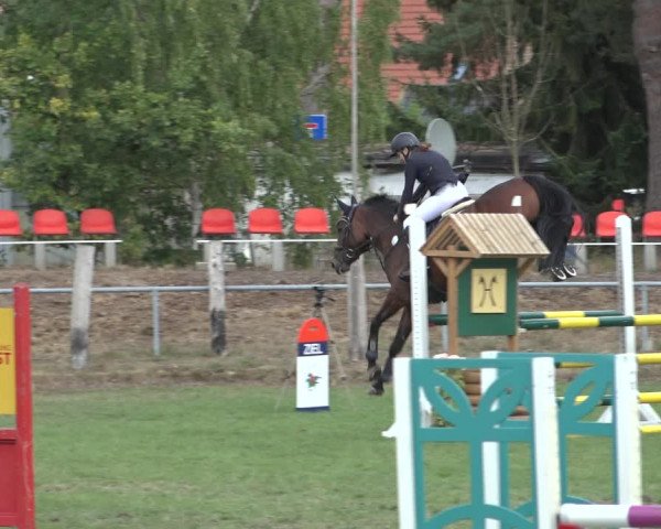 Reitturnier Dannenberg 2022