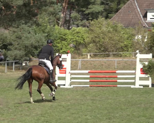 Reitturnier Dannenberg 2022