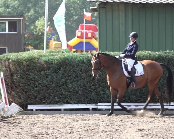 Reitturnier Hamburg-Bergstedt 2022
