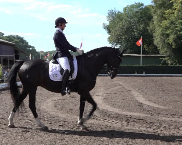 Reitturnier Hamburg-Bergstedt 2022
