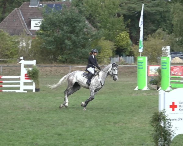 Reitturnier Dannenberg 2022