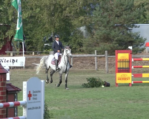 Reitturnier Dannenberg 2022