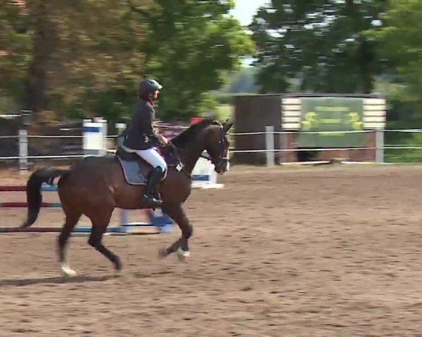 Reitturnier Demantsfürth 2022