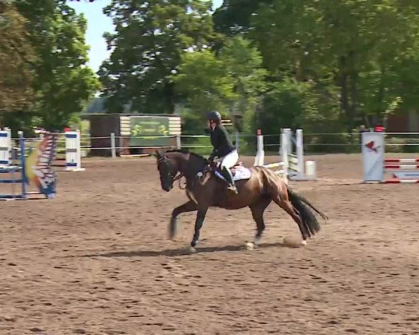 Reitturnier Demantsfürth 2022