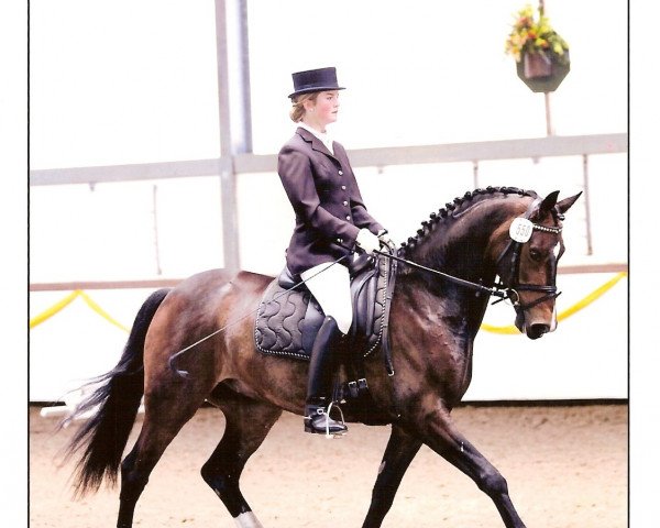 dressage horse Wilco 48 (Rhinelander, 2004, from Weltrubin)