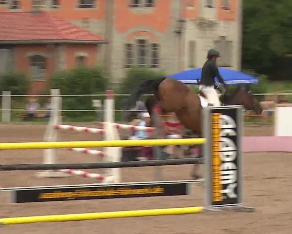 Reitturnier Demantsfürth 2022