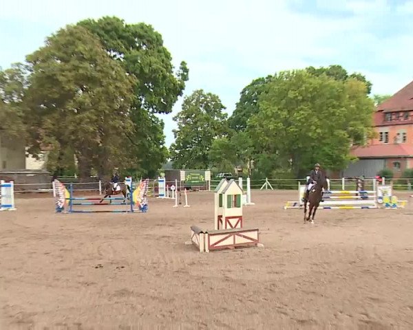 Reitturnier Demantsfürth 2022