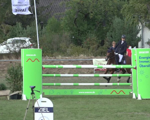 Reitturnier Dannenberg 2022
