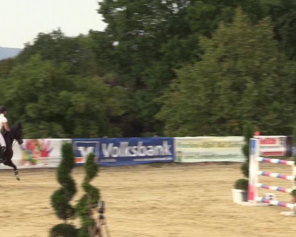 Reitturnier Vlotho-Valdorf 2022