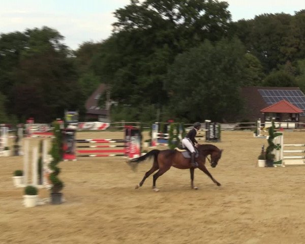 Reitturnier Vlotho-Valdorf 2022
