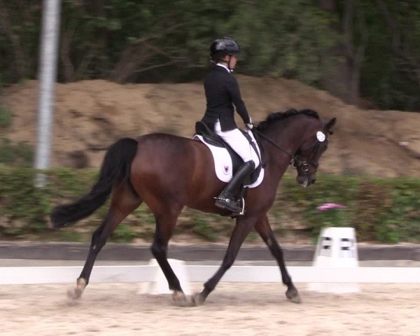 Reitturnier Müncheberg 2022