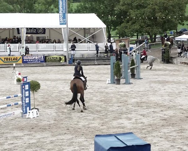 Reitturnier Humlikon 2022